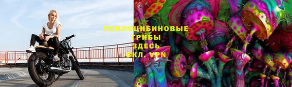 марки nbome Нефтекумск