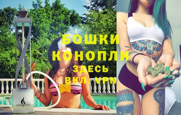 винт Новозыбков