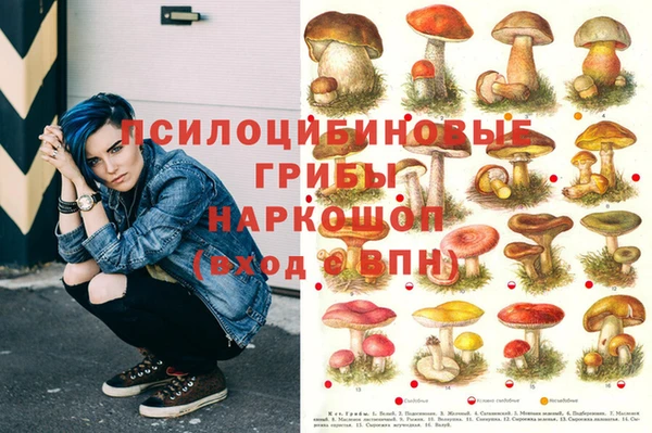 каннабис Новодвинск