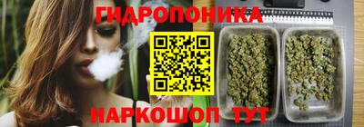 MDMA Premium VHQ Гатчина