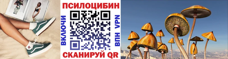 Псилоцибиновые грибы Magic Shrooms  купить   ОМГ ОМГ ссылка  Алушта 