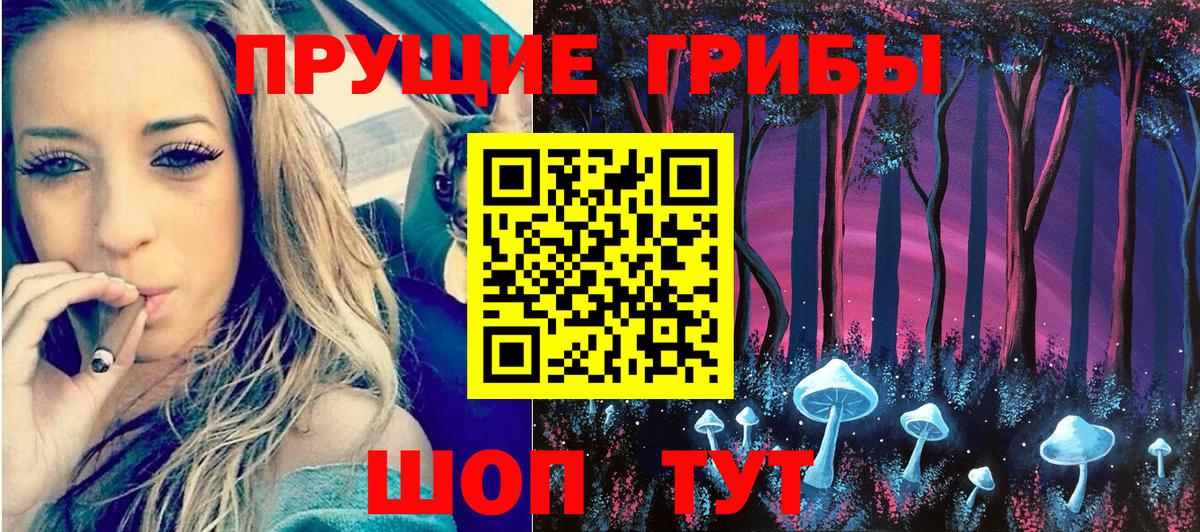 цены наркотик  Галлюциногенные грибы Psilocybe  Вход с VPN  Алушта 