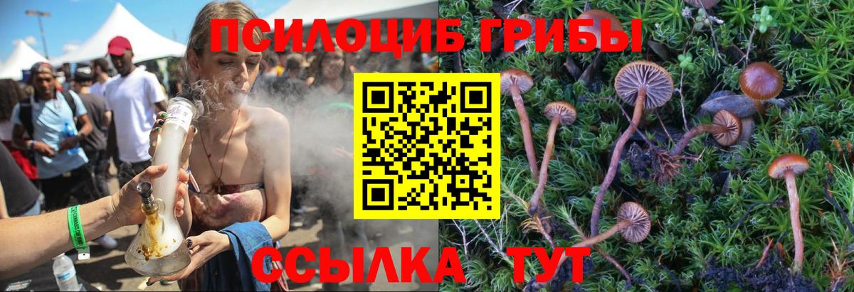 Псилоцибиновые грибы Psilocybine cubensis Алушта