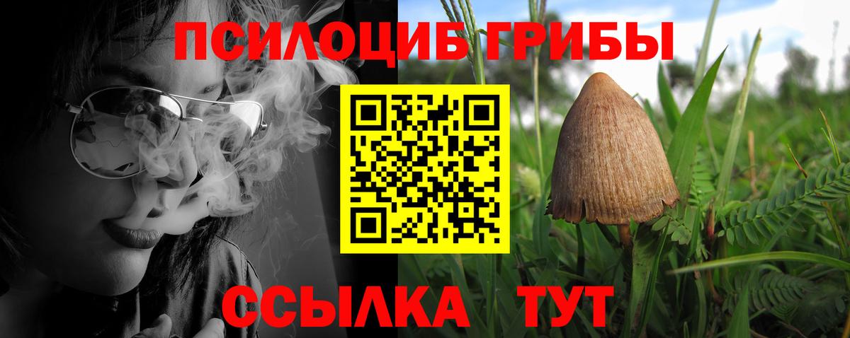 Псилоцибиновые грибы Psilocybe Алушта
